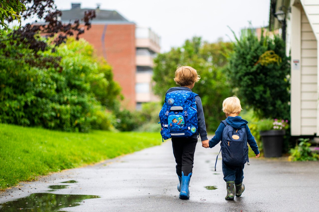 Svenskar som växte upp som ensambarn i slutet av 1900-talet tycks haft högre risk för bland annat övervikt än de med syskon, enligt en svensk studie.