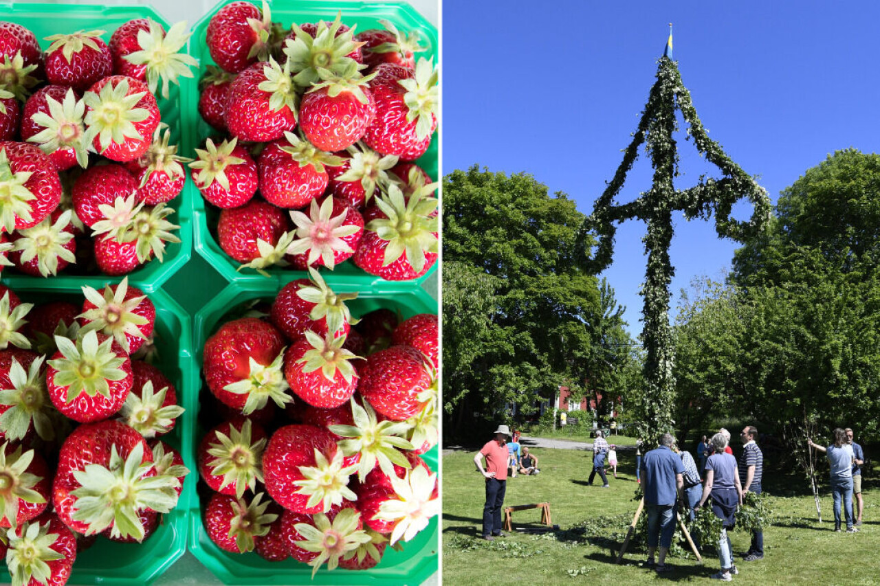 Efter en vår och försommar med dåligt väder ser utbudet på svenska jordgubbar inför midsommarhelgen dyster ut. Dessutom kan priserna på jordgubbar öka.