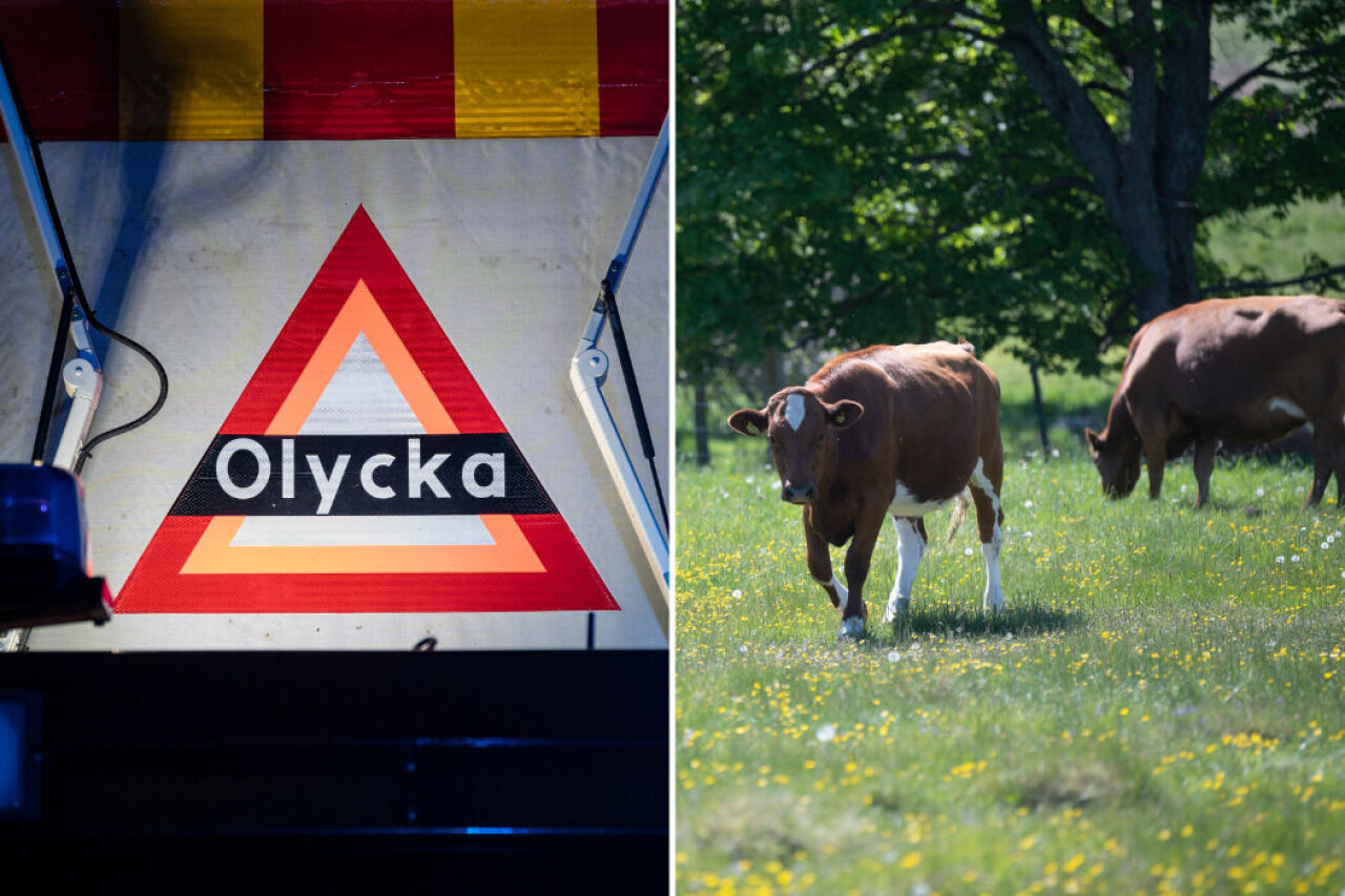 Fem personer har förts till sjukhus med ambulans. Arkivbild.